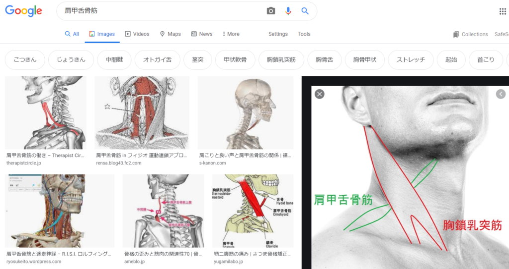 足の陽明胃経45穴の簡単な覚え方!語源イメージと語呂合わせで完璧!学生向け
