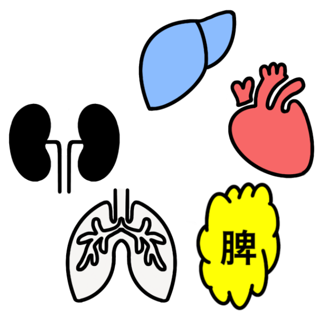 半米粒大の大きさとは 紙上施灸で透熱灸 直接灸 点灸 をひねる こよるコツ 練習用紙も