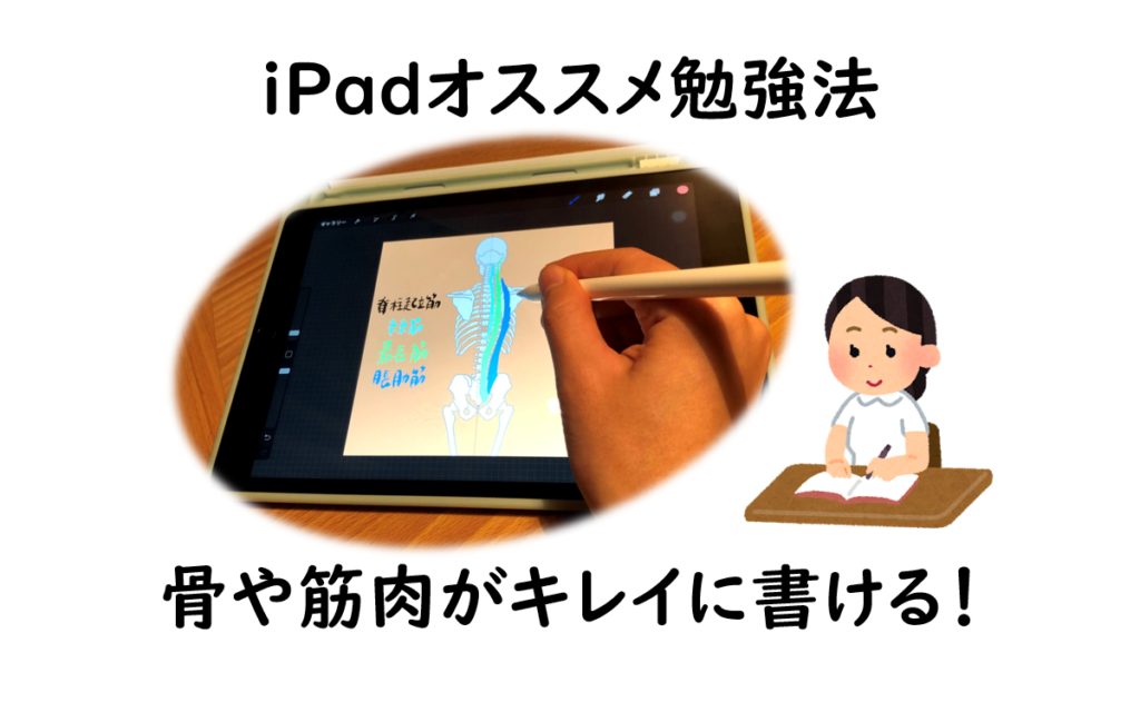 Ipad勉強法 骨や筋肉がキレイに書ける オススメアプリと効率化機能を紹介 医療系専門学生向け