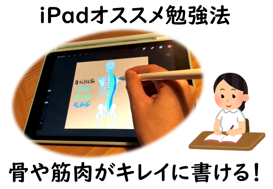 Ipad勉強法 骨や筋肉がキレイに書ける オススメアプリと効率化機能を紹介 医療系専門学生向け