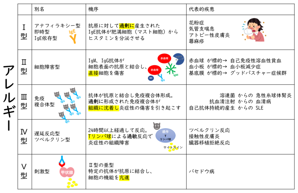 1 型糖尿病と 2 型糖尿病の比較