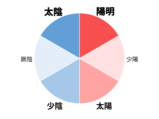 手足を流れる三陰三陽の関係を示した図。太陰・少陰・厥陰と陽明・少陽・太陽の位置関係を理解するためのイラスト