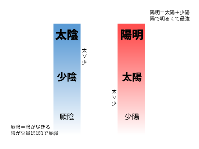 三陰の強弱は太陰、少陰、厥陰、
三陽の強弱は陽明、太陽、少陽の順で弱くなっていきます。