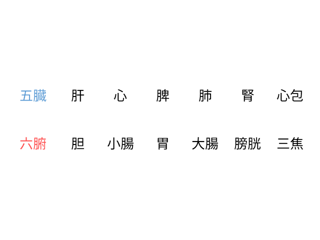 五臓＋心包と六腑を馴染み深い木火土金水の順でならべました。