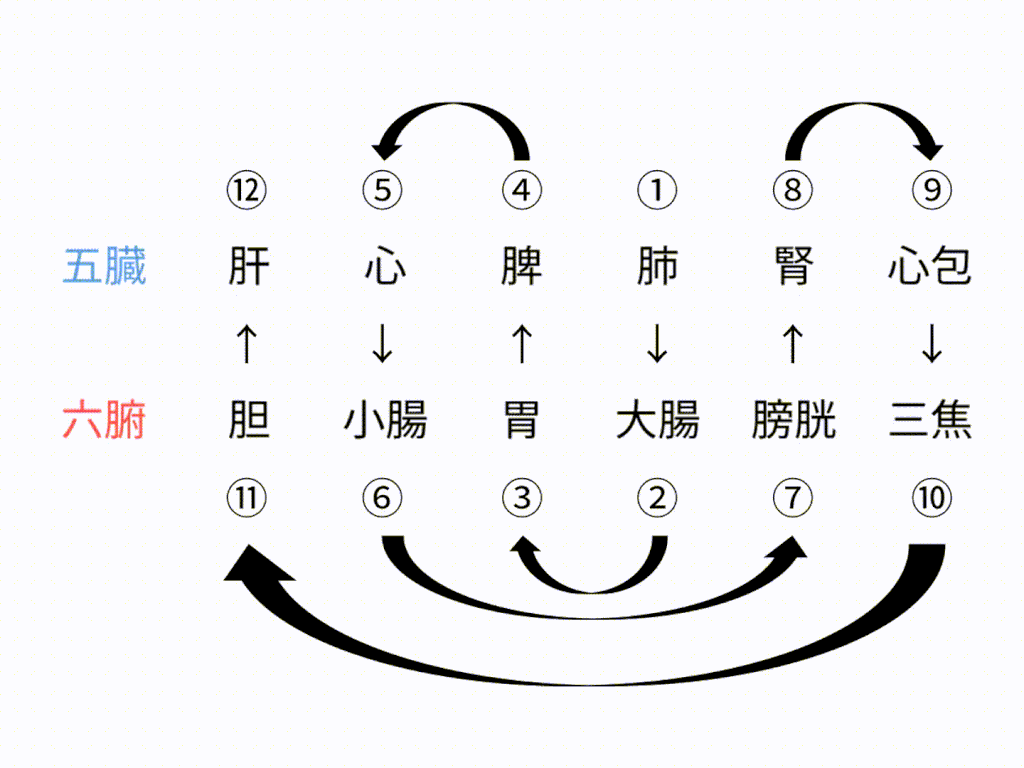 正経十二経脈の流中